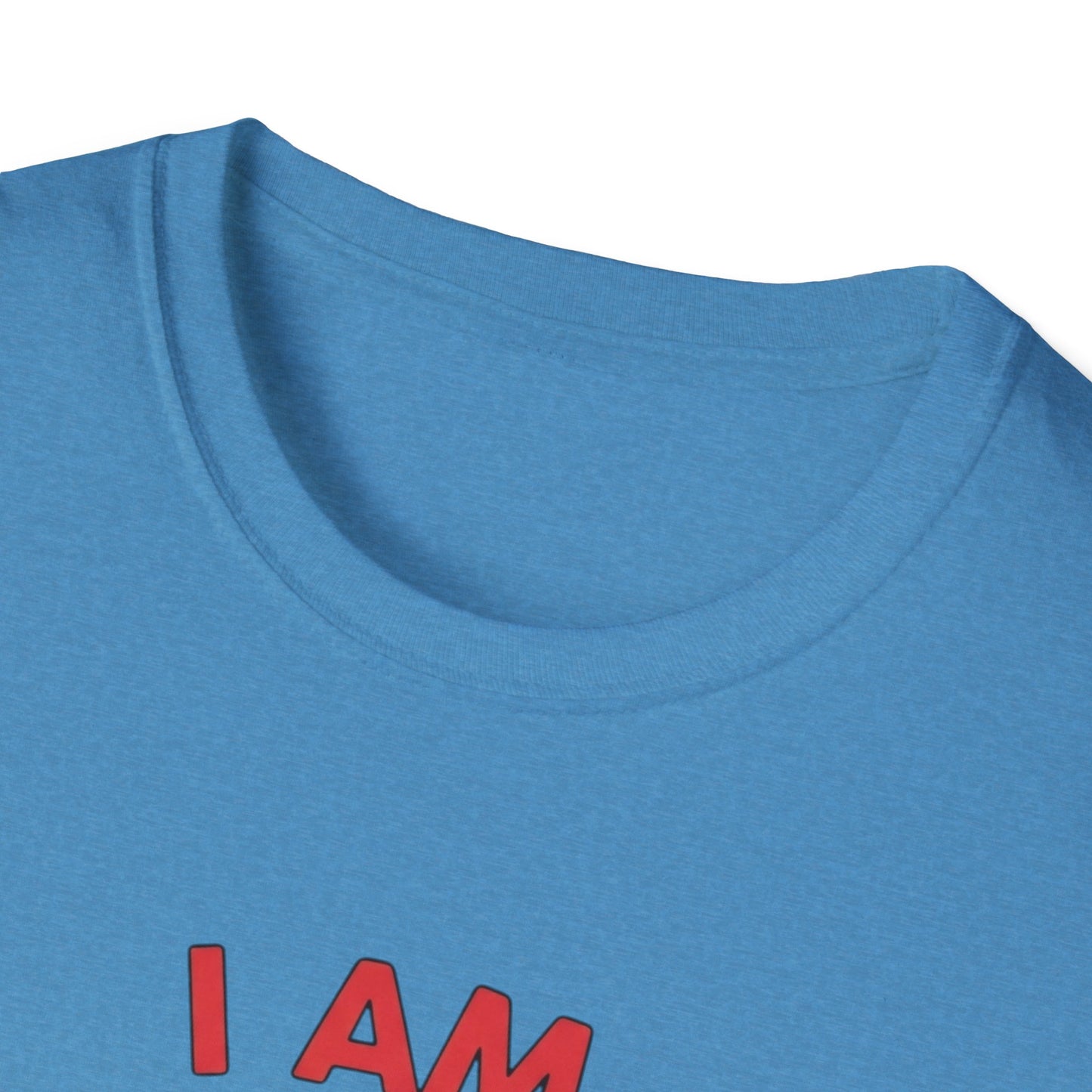 I Am Pho Real T-Shirt | Funny Pho Bowl Shirt | Foodie Pun Tee | Ramen Alternative Gift | Cute Asian Noodle Humor Tee | Gift for Food Lovers