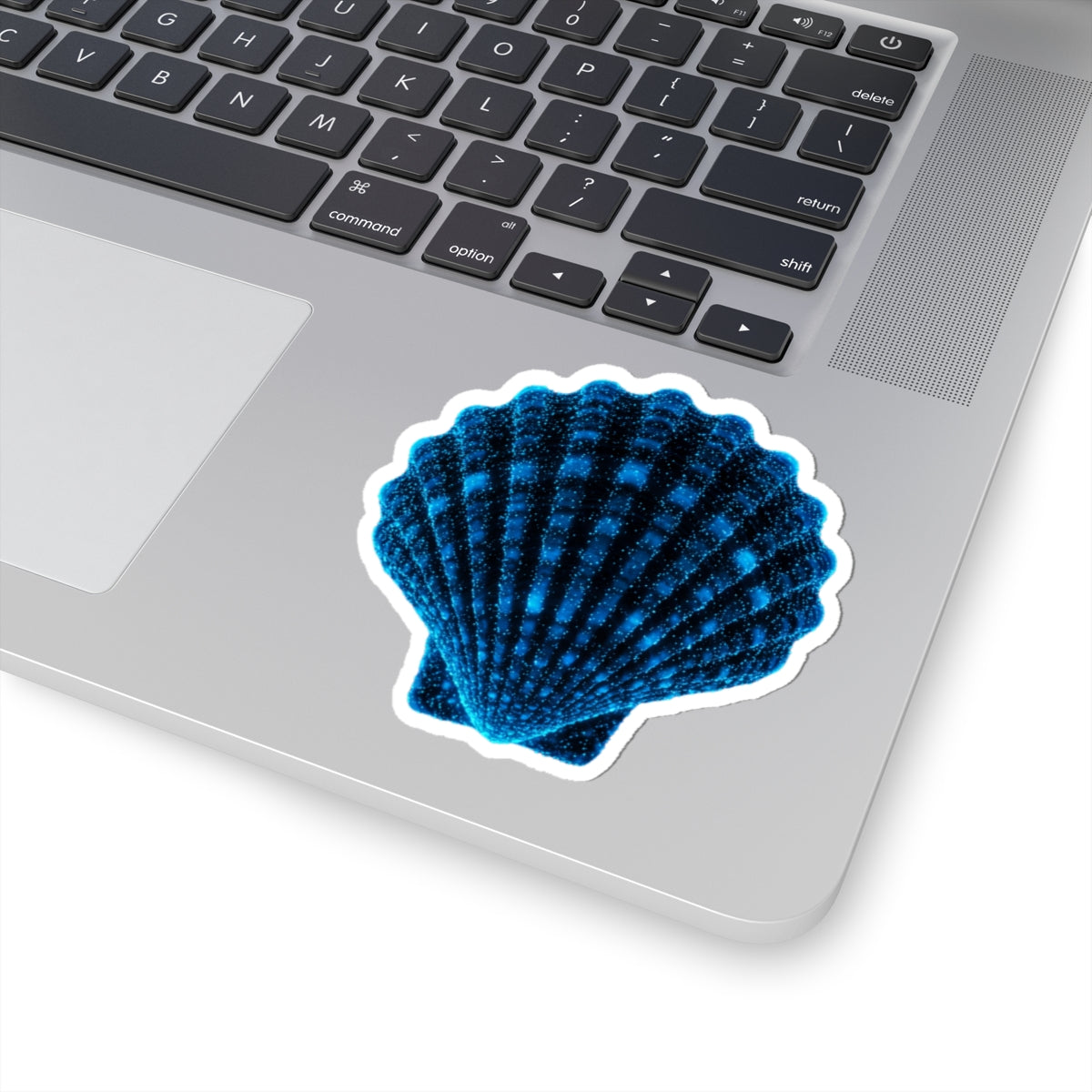 Seashell Sticker Shell Decal Ocean Decor Beach Decoration Nautical Decor