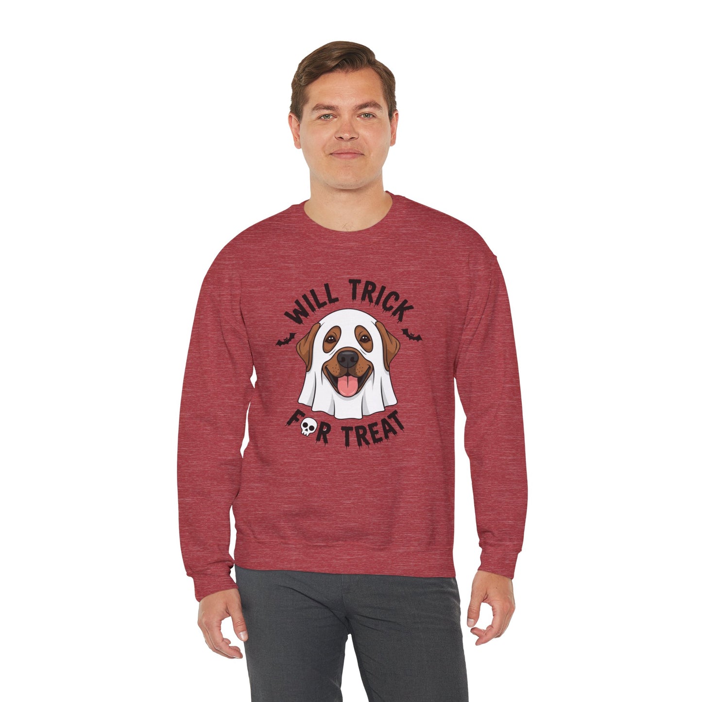 Will Trick for Treat Sweatshirt, Ghost Dog Halloween Crewneck, Funny Pet Costume Graphic Pullover, Trick-or-Treat Dog Lover Gift Sweater