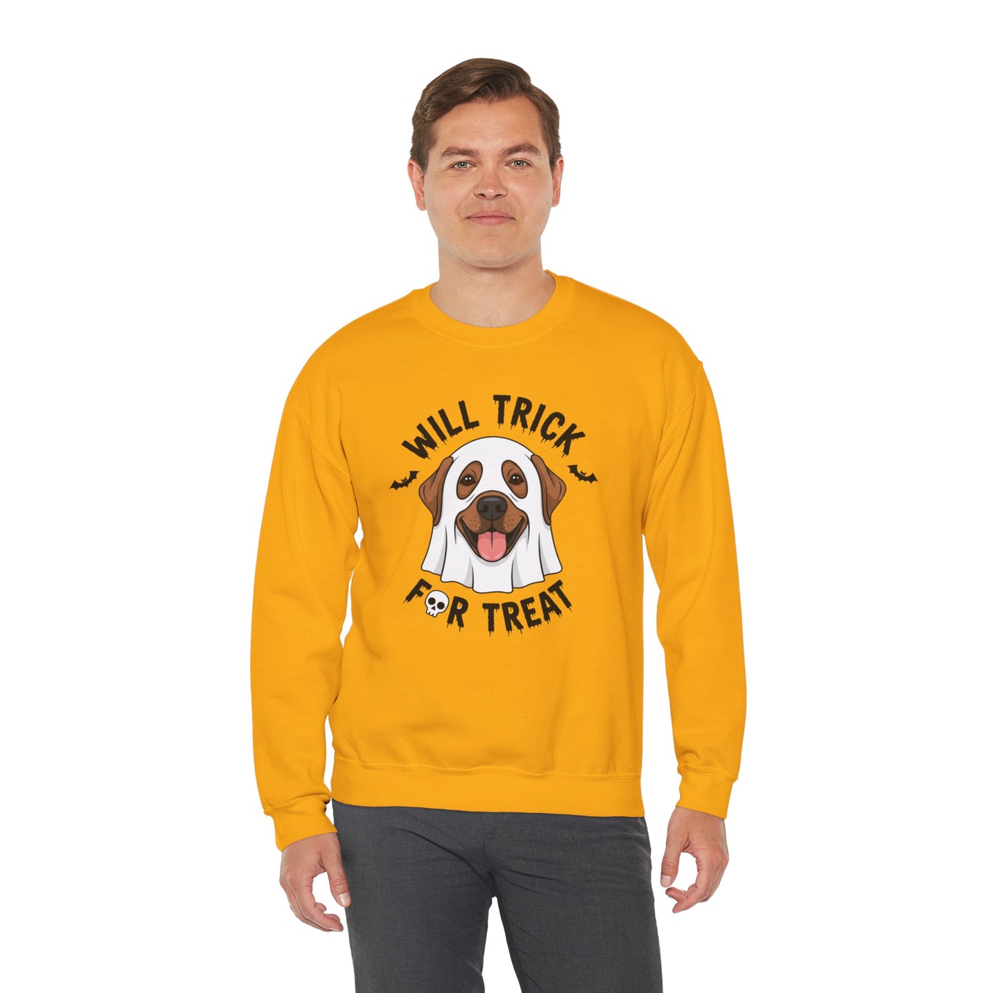 Will Trick for Treat Sweatshirt, Ghost Dog Halloween Crewneck, Funny Pet Costume Graphic Pullover, Trick-or-Treat Dog Lover Gift Sweater