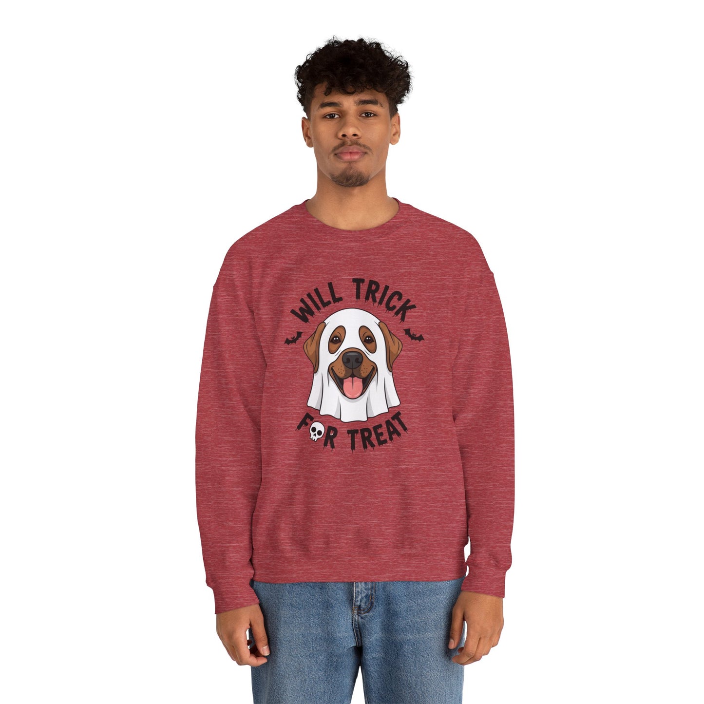 Will Trick for Treat Sweatshirt, Ghost Dog Halloween Crewneck, Funny Pet Costume Graphic Pullover, Trick-or-Treat Dog Lover Gift Sweater