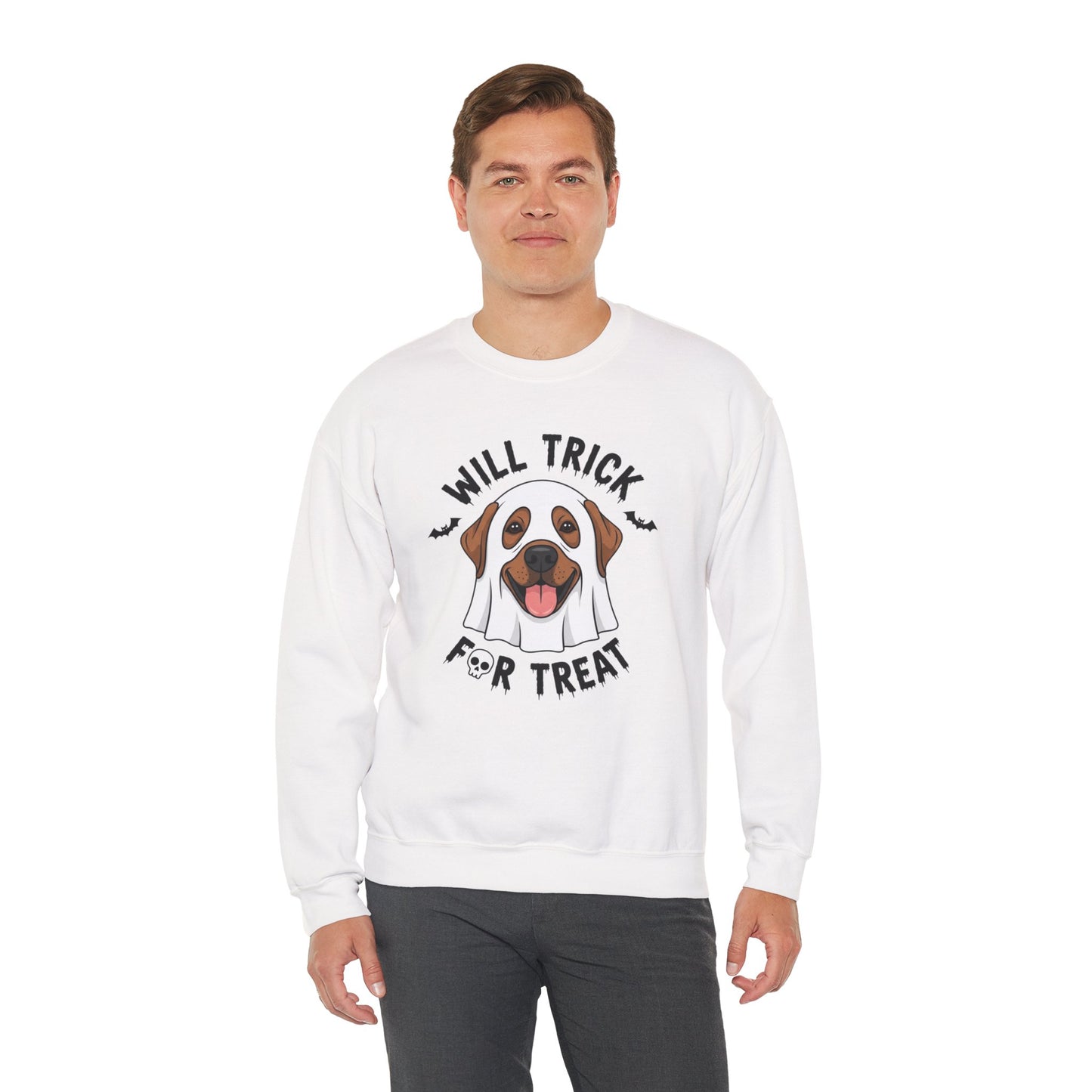 Will Trick for Treat Sweatshirt, Ghost Dog Halloween Crewneck, Funny Pet Costume Graphic Pullover, Trick-or-Treat Dog Lover Gift Sweater