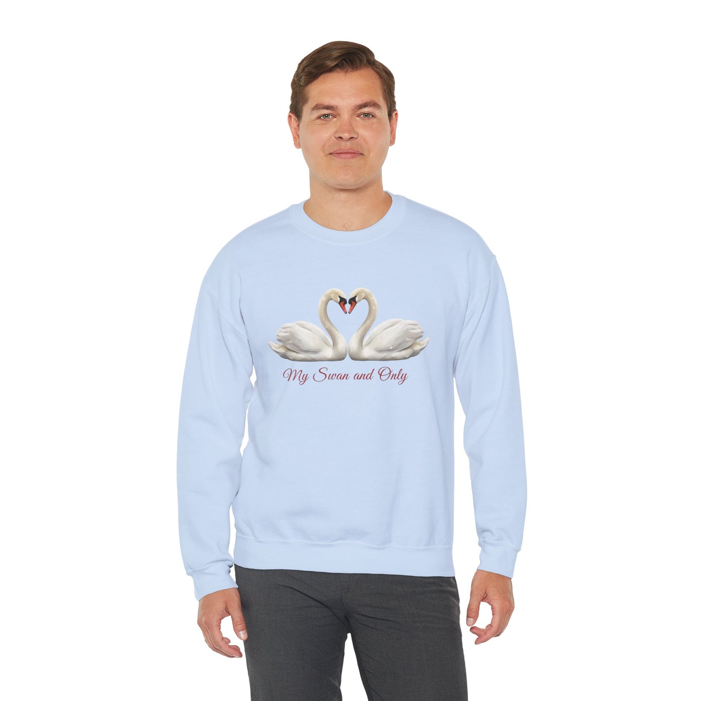 My Swan And Only Sweatshirt, Swan Love Sweater, Romantic Couple Gift, Valentine Sweatshirt, Anniversary Love Pullover